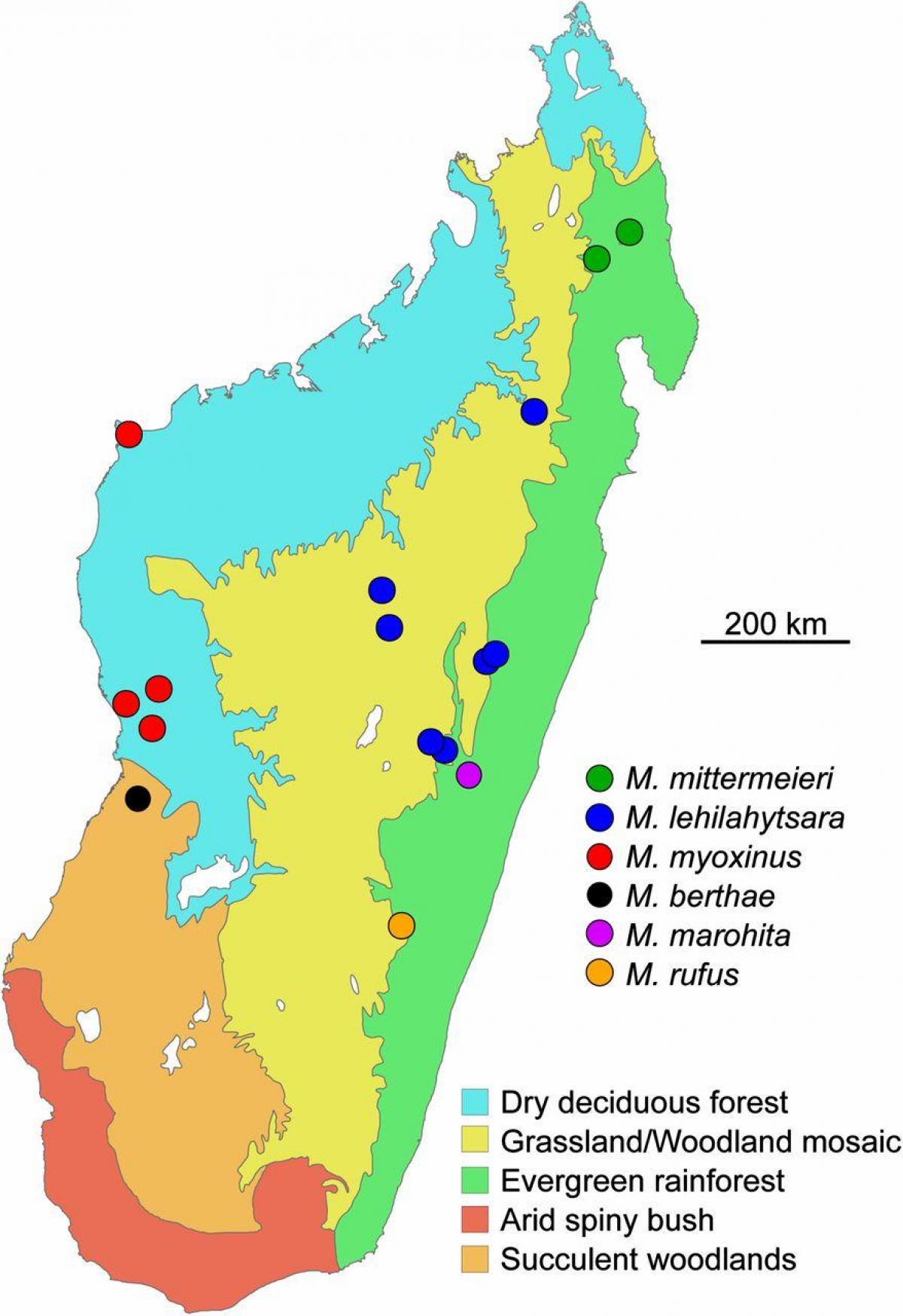 kaart van Madagascar regenwoud