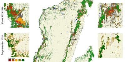 Kaart van Madagascar ontbossing