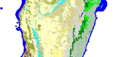 Kaart van Madagascar vegetatie